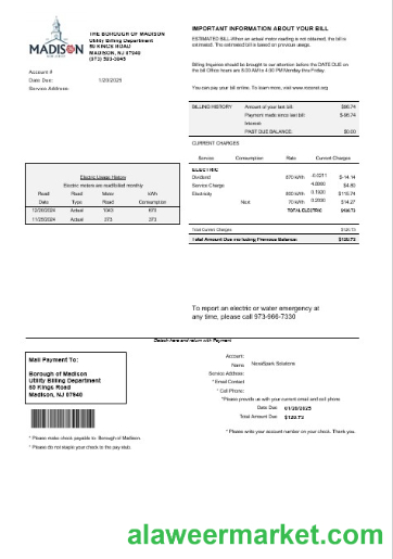 USA New Jersey The Borough of Madison business utility bill template in Word and PDF formats